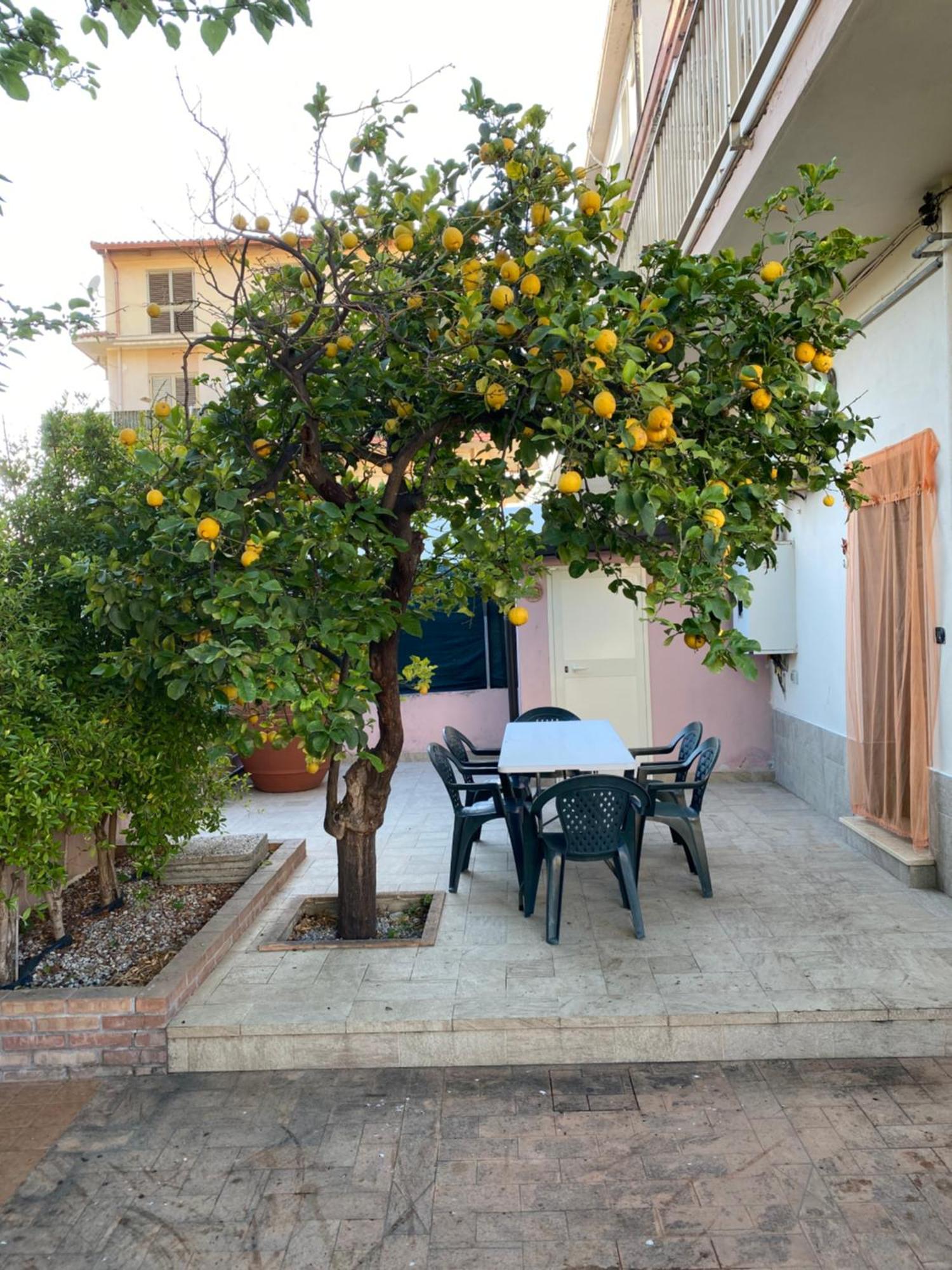 Villa L'Albero Di Limoni Sul Mare Di Pizzo Exterior foto