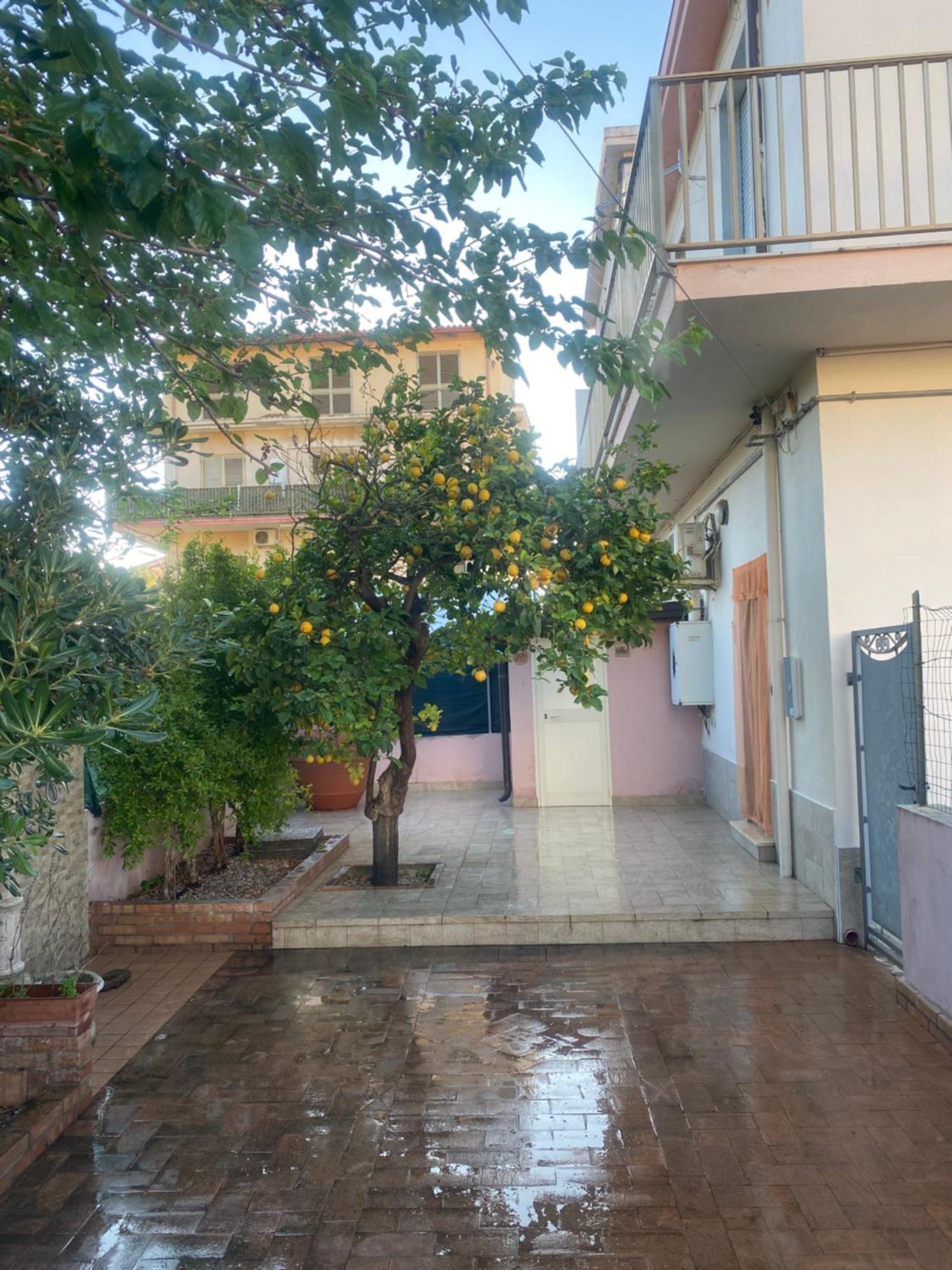 Villa L'Albero Di Limoni Sul Mare Di Pizzo Exterior foto