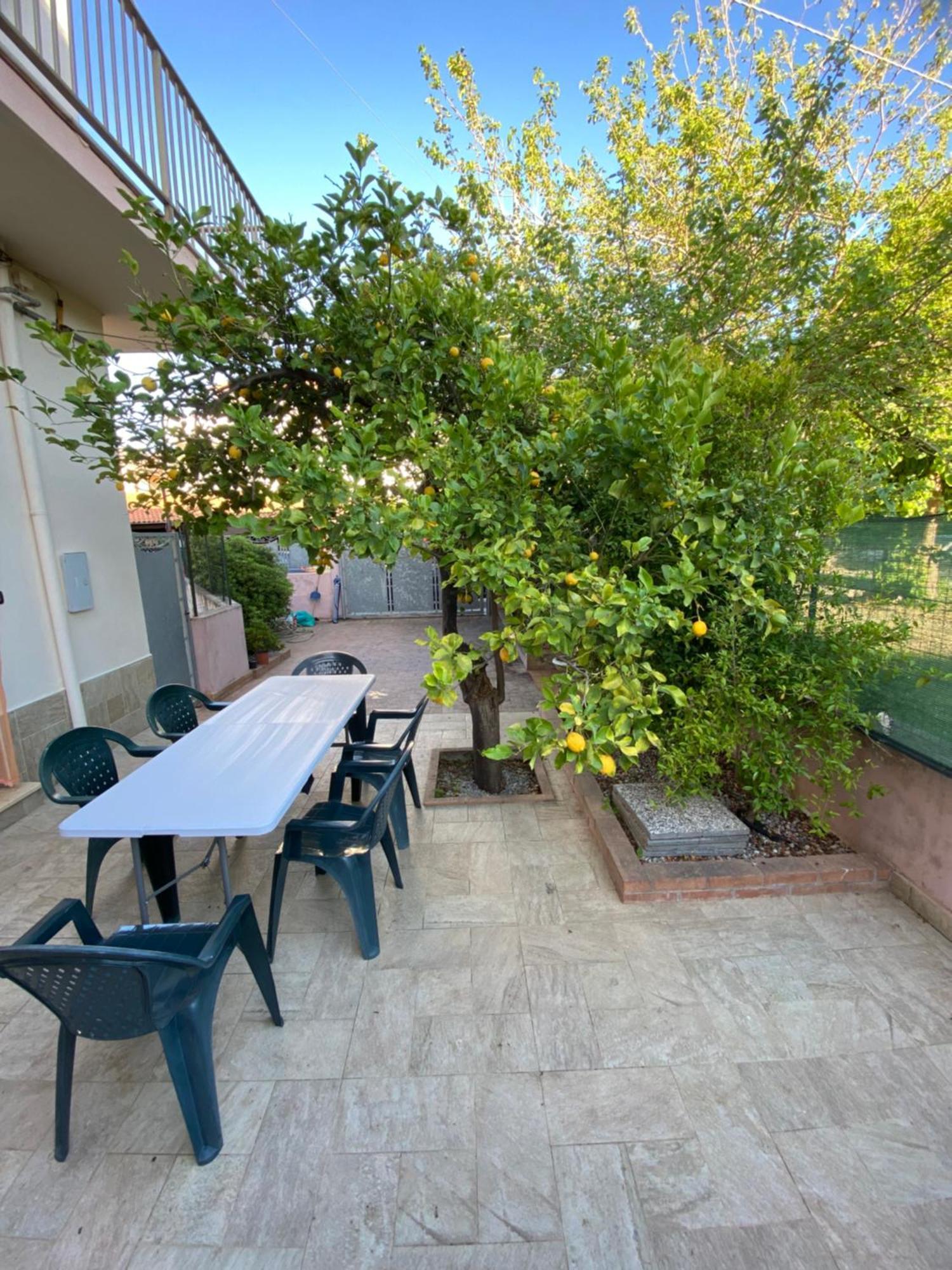 Villa L'Albero Di Limoni Sul Mare Di Pizzo Exterior foto