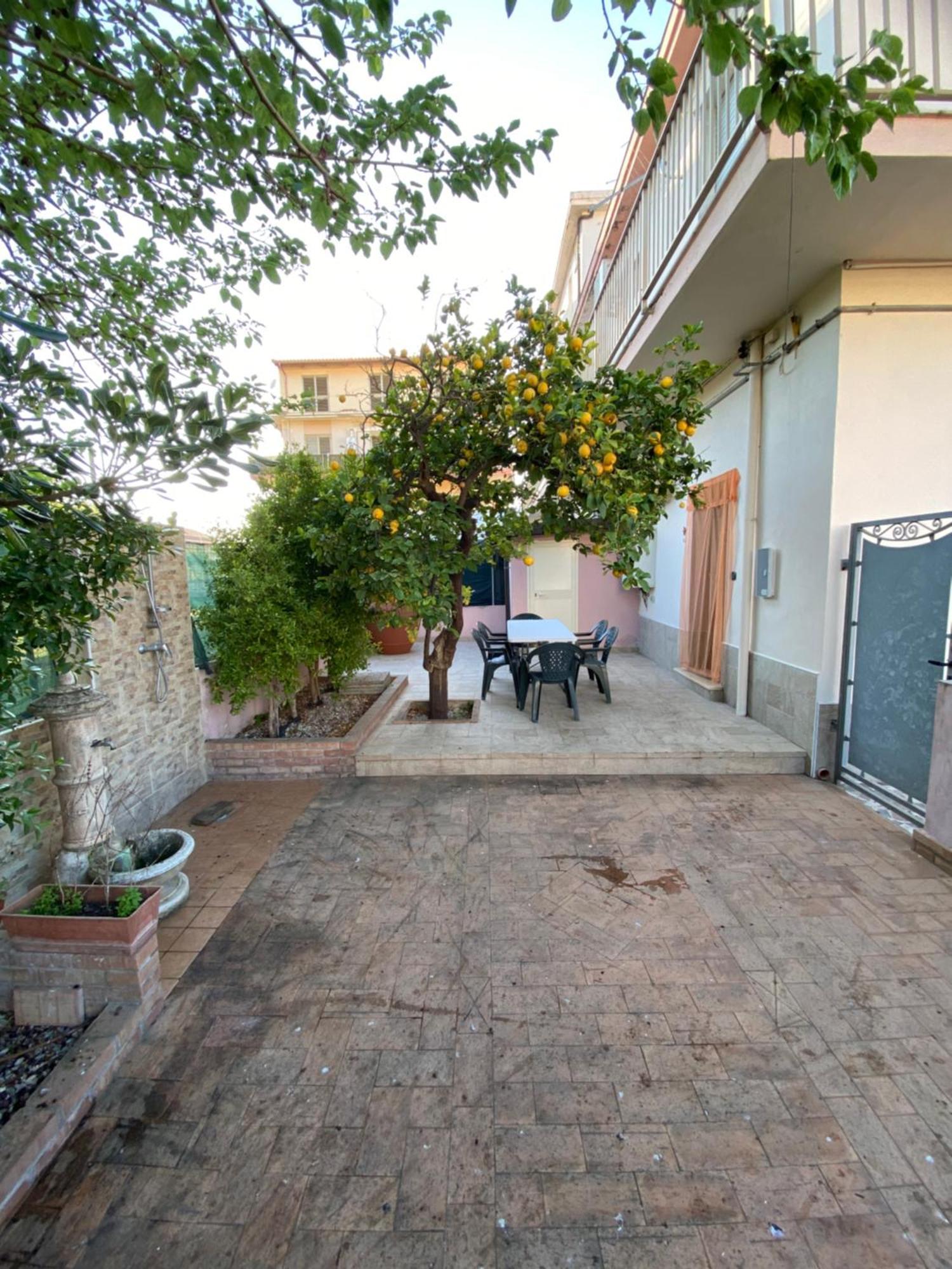 Villa L'Albero Di Limoni Sul Mare Di Pizzo Exterior foto